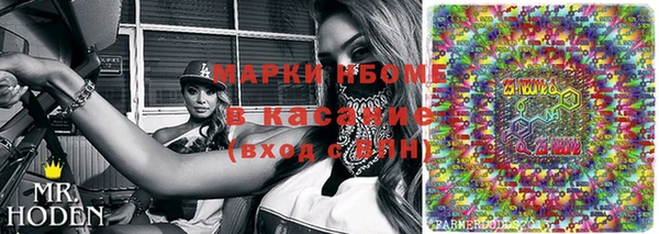 хмурый Мегион