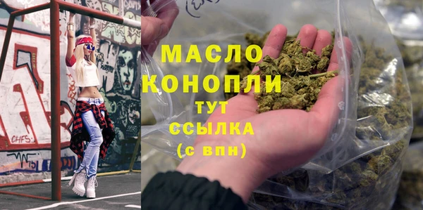 хмурый Мегион