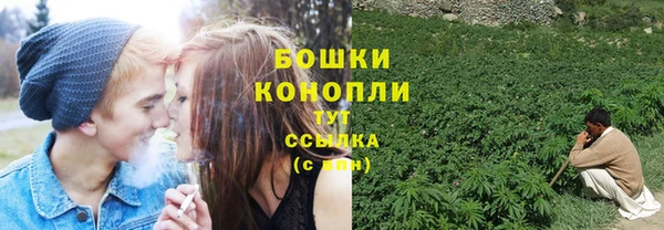 ПСИЛОЦИБИНОВЫЕ ГРИБЫ Медногорск