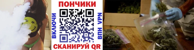 kraken ТОР  Городище  Каннабис тримм 